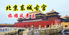 啊啊嗯摸的好舒服，流了好多水视频中国北京-东城古宫旅游风景区
